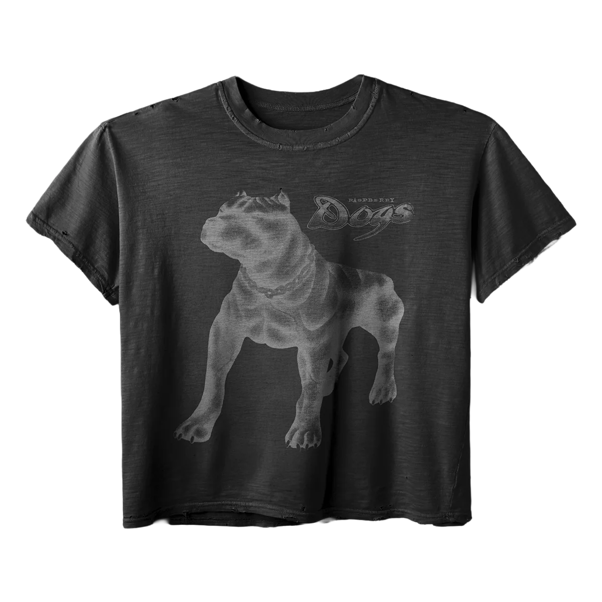 GV Gallery Doghouse Tee Black