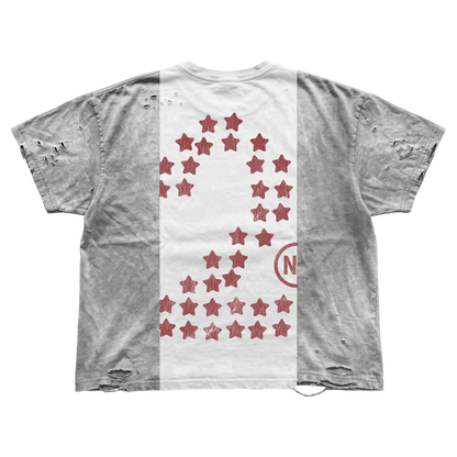 Nulli University Repair Tee Grey/White/Red