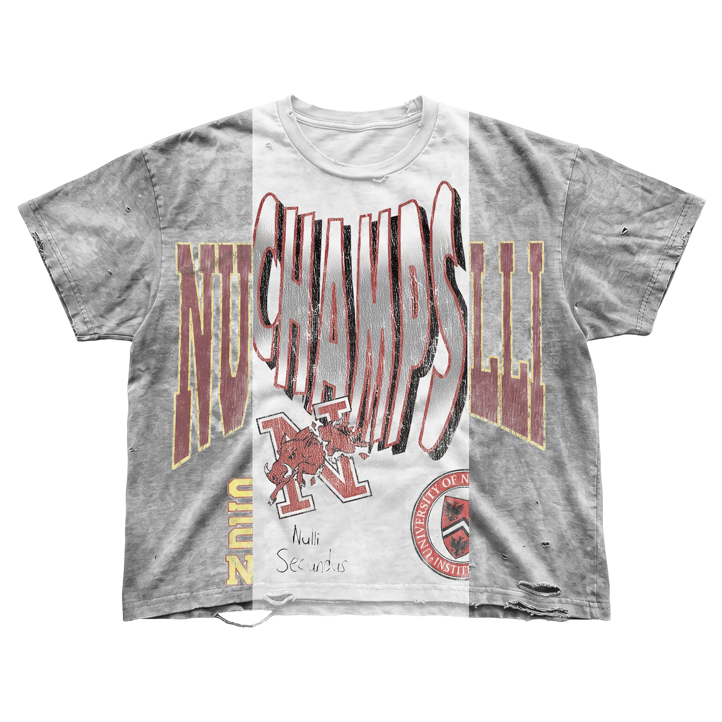 Nulli University Repair Tee Grey/White/Red