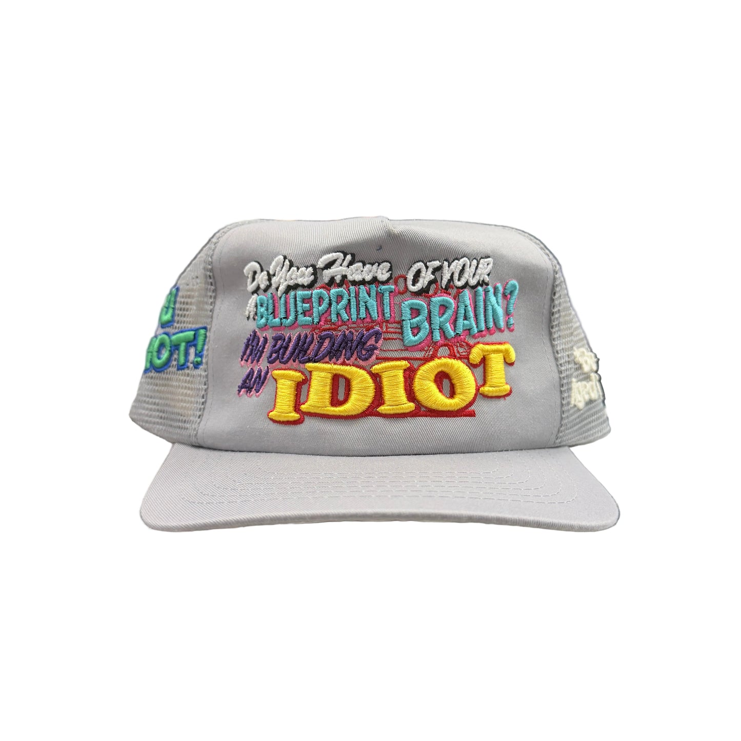 *Better With Age Idiotic Vintage Hat Multi
